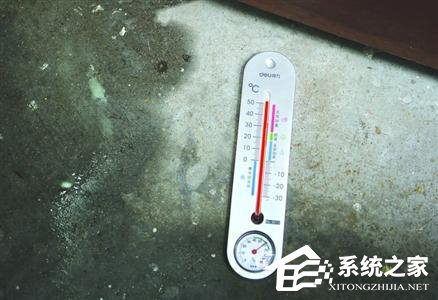 上海一商铺地热烫手可煎鸡蛋：50℃温度计4分钟爆表