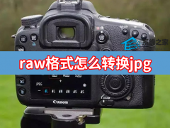 raw格式怎么转换jpg raw格式转换jpg格式常用的三种方法分享