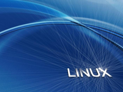 Linux下安装和部署LXC的方法详解