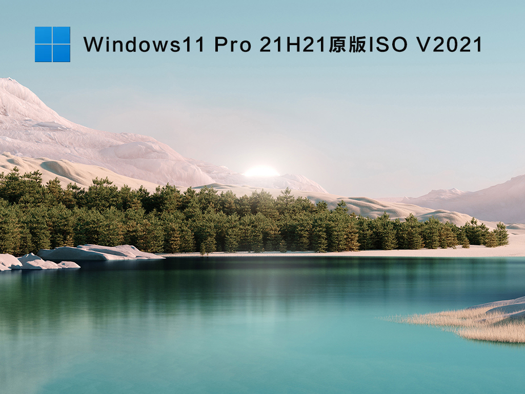 Windows11 X64 Pro 21H2(10.0.22000.51)原版ISO V2021