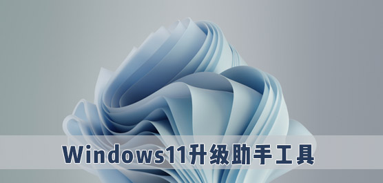 Win11_Win11_Windows11