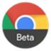 ȸGoogle Chrome DevV95.0.4638.17 ٷ