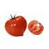 番茄花园 Ghost XP SP3 稳定专业版 V2021.10