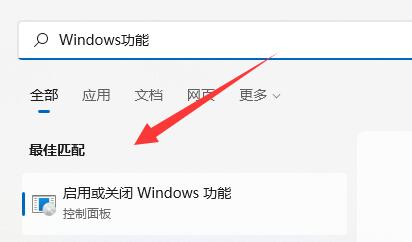 Windows 11 22000.493