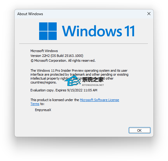 ΢Win11 Insider Preview 25163.