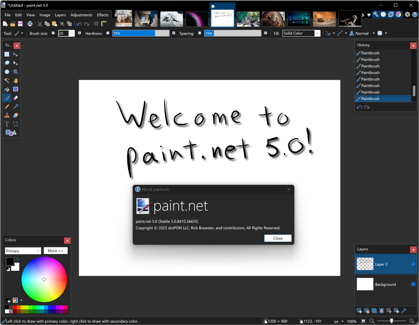 Paint.NET 5.0 £֧΢ Win