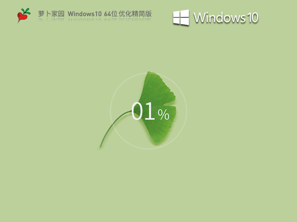 萝卜家园 Windows10 64位 优化精简版 V2023.06
