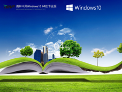 ľ Windows10 64λ רҵװ V2023