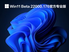 Win11 Beta 22000.176ٷרҵ V2021.09