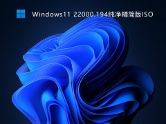Windows11 22000.258纯净精简版ISO V2021
