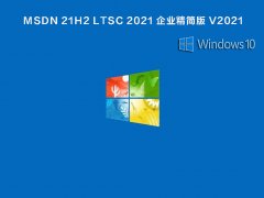MSDN 21H2 LTSC 2021 ҵ V2021