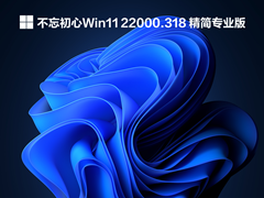 Windows11 22000.318 64λĺһ