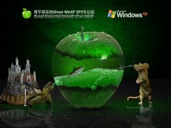 ƻϵͳ Ghost WinXP SP3  V2022.03