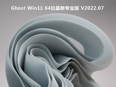 Ghost Win11 64λרҵ V2022.07