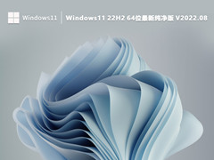 Windows11 22H2 64λ´ V2022.08