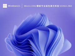 Win11 22h2最新專業版免激活系統 V22621.963