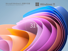 Windows11 22H2 (22621.1555)  X64 家庭中文版