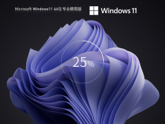Windows11 22H2 (22621.1778) X64 专业精简版 V2023.06